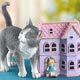 Kitty's Playhouse Kitty's Playhouse