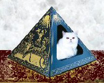 Cat Lovers,Cat Collectibles,Music Boxes,Litter Boxes, Cat Tote Bags, Leads, Cat Harnesses, Cat Grooming Tools