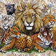 Cat Puzzle Cat Lover Products,Cat Games,Games,Cat Puzzles,puzzles, Cat Toys,Plush Animals,Stuff Cats,Stuff cat Puzzle