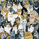 Cat Puzzle Cat Lover Products,Cat Games,Games,Cat Puzzles,puzzles, Cat Toys,Plush Animals,Stuff Cats,Stuff cat Puzzle
