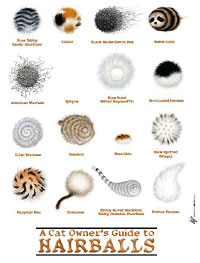 Cat Lovers,Cat Collectibles,Music Boxes,Litter Boxes, Cat Tote Bags, Leads, Cat Harnesses, Cat Grooming Tools