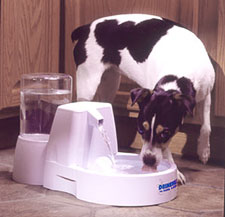 Dog Products,Dog Bowls,Dog Carriers,Food Water Portables, Dog Bowls, Leads, Dog Harnesses, Dog Grooming Tools