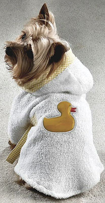 Dog Boots, dog Booties,Raincoats,dog raincoats, Timers, Dog Collars, Leads, Dog Harnesses, Dog Grooming Tools