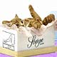 Fashion Feline Collectibles,Music Box, Cat Clocks, Cat Sculptures,Cat Figurines