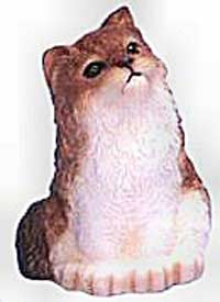 Cat Lovers,Cat Collectibles,Music Boxes,Litter Boxes, Cat Tote Bags, Leads, Cat Harnesses, Cat Grooming Tools