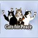 Cat Tshirt cat 
watches tote bags shirts tshirts gifts items, Cat Grooming Tools