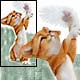 Cat Figurine Collectibles,Music Box, Cat Clocks, Cat Sculptures,Cat Figurines