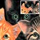 Cat Placemat Collectibles, Cat Clocks, Cat Music Boxes, Cat Jars, Cat Mugs
