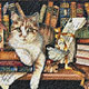 Cat Board Collectibles, Cat Clocks, Cat Music Boxes, Cat Jars, Cat Mugs