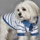 Dog Shirt Dog,dog life preservers Dog,pet life preservers Dog,life preservers dogs Dog,floatation Jackets Dog,floatation jackets animals Dog,dog raincoats Dog,dog jumpsuits Dog,raincoats dogs Dog,jackets dogs Dog,coats dogs Dog,dog collars