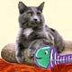 Pet Bed Collectibles,Music Box, Cat Clocks, Cat Sculptures,Cat Figurines