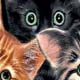 Placemat Cat Products,Collars For Cats, Cat Bowls, Leads, Cat Collars, Portable Cat feeders