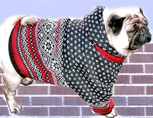 Dog Boots, dog Booties,Raincoats,dog raincoats, Timers, Dog Collars, Leads, Dog Harnesses, Dog Grooming Tools
