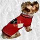 Argyle Sweater Dog,dog sweater, Dog,pet life preservers Dog,life preservers dogs Dog,floatation Jackets Dog,floatation jackets animals Dog,dog raincoats Dog,dog jumpsuits Dog,raincoats dogs Dog,jackets dogs Dog,coats dogs Dog,dog collars