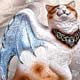 Bat-Winged Cat Bat-Winged Cat